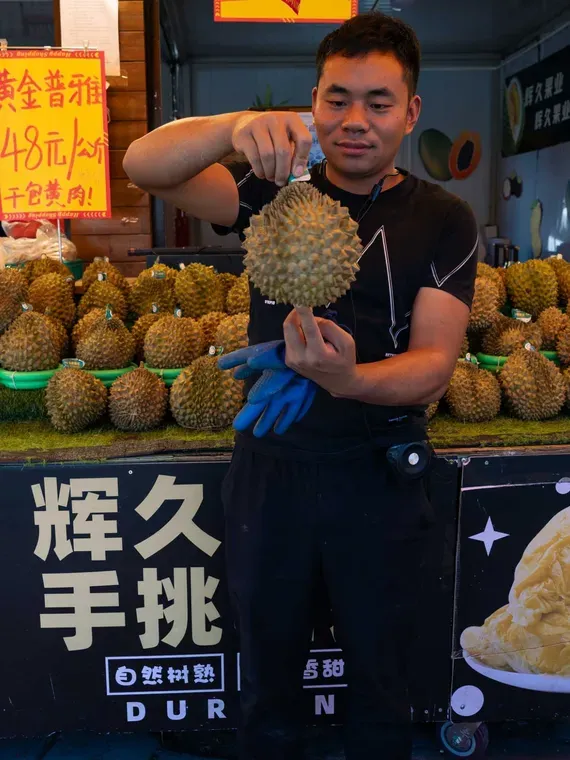 Fruits of Spoil: Laos' Forests Disappearing As Fruit Farms